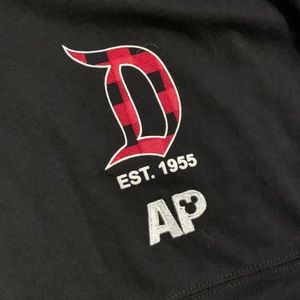 Disneyland spirit jersey xl